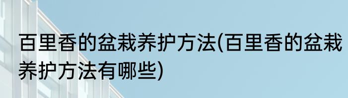 百里香的盆栽养护方法(百里香的盆栽养护方法有哪些)