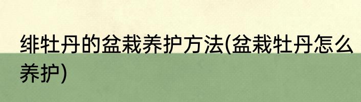 绯牡丹的盆栽养护方法(盆栽牡丹怎么养护)