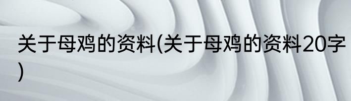 关于母鸡的资料(关于母鸡的资料20字)