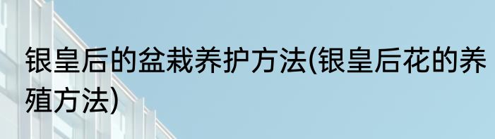 银皇后的盆栽养护方法(银皇后花的养殖方法)