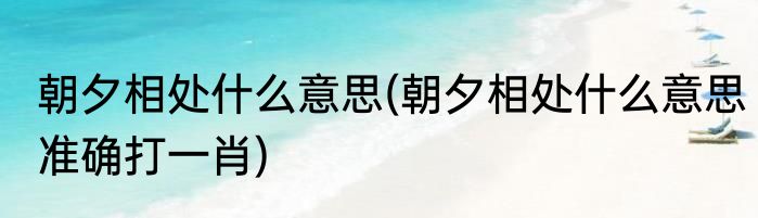 朝夕相处什么意思(朝夕相处什么意思准确打一肖)