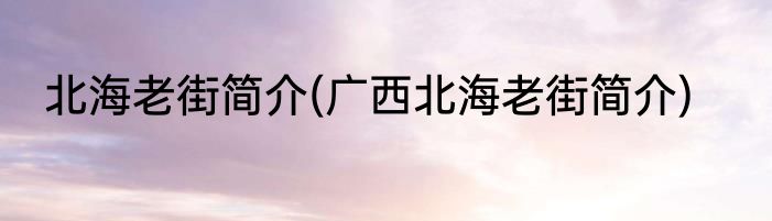 北海老街简介(广西北海老街简介)