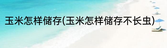 玉米怎样储存(玉米怎样储存不长虫)