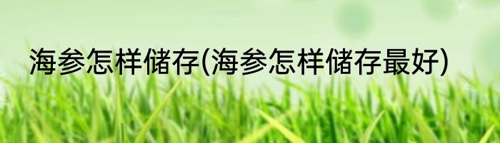 海参怎样储存(海参怎样储存最好)