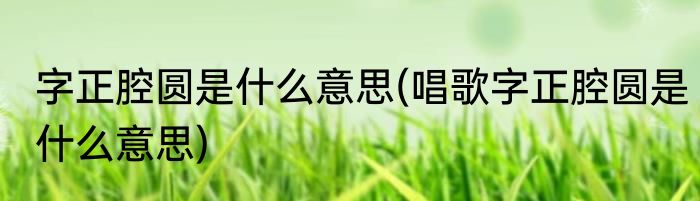 字正腔圆是什么意思(唱歌字正腔圆是什么意思)