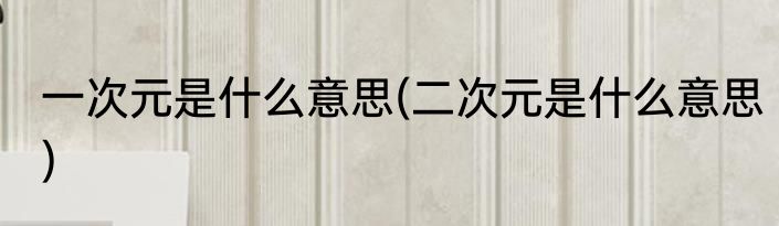 一次元是什么意思(二次元是什么意思)