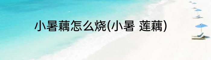 小暑藕怎么烧(小暑 莲藕)