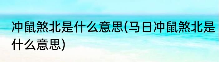 冲鼠煞北是什么意思(马日冲鼠煞北是什么意思)