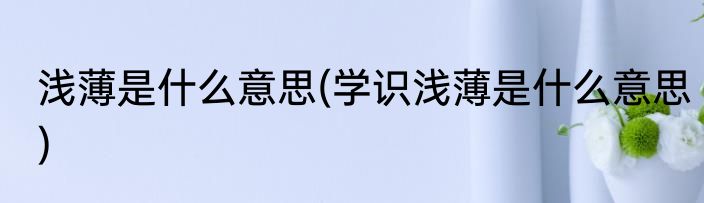 浅薄是什么意思(学识浅薄是什么意思)