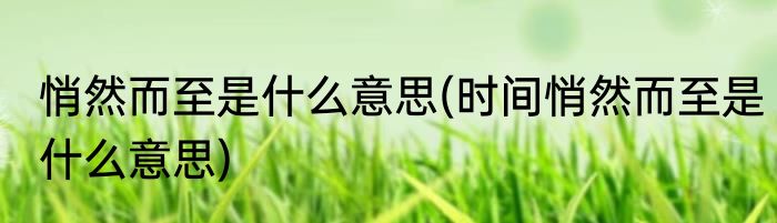 悄然而至是什么意思(时间悄然而至是什么意思)