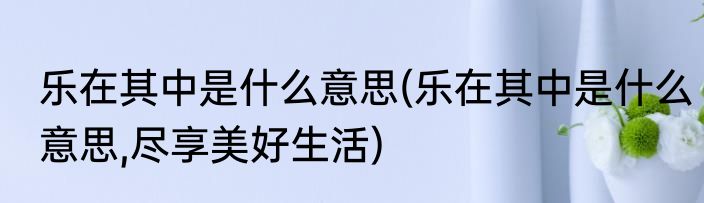 乐在其中是什么意思(乐在其中是什么意思,尽享美好生活)