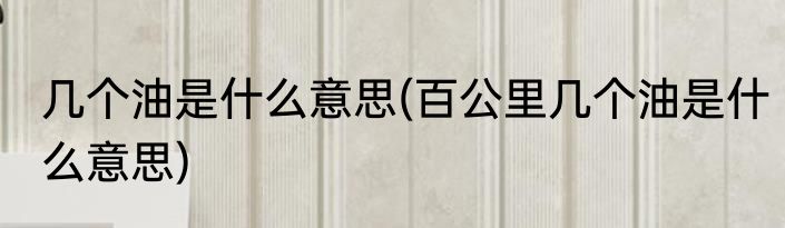 几个油是什么意思(百公里几个油是什么意思)