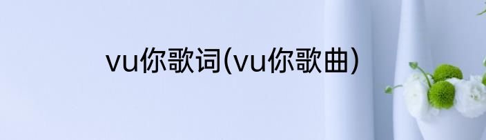 vu你歌词(vu你歌曲)