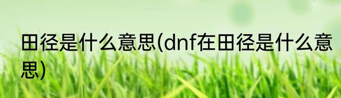 田径是什么意思(dnf在田径是什么意思)