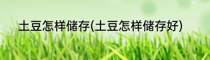 土豆怎样储存(土豆怎样储存好)