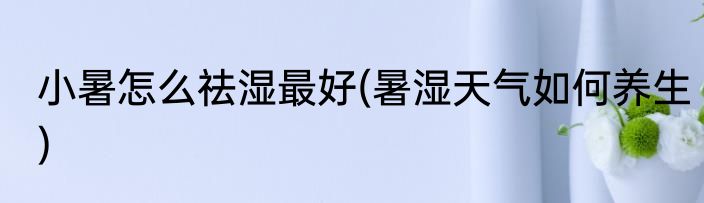 小暑怎么祛湿最好(暑湿天气如何养生)