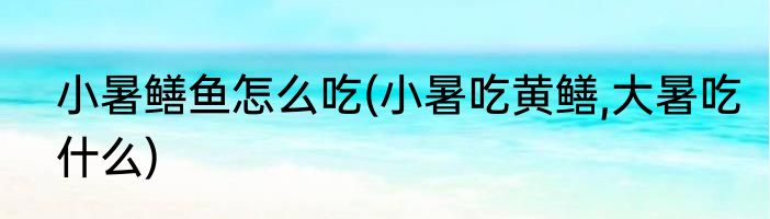 小暑鳝鱼怎么吃(小暑吃黄鳝,大暑吃什么)