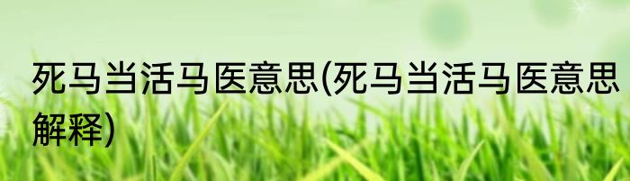 死马当活马医意思(死马当活马医意思解释)