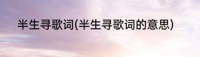半生寻歌词(半生寻歌词的意思)