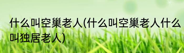什么叫空巢老人(什么叫空巢老人什么叫独居老人)