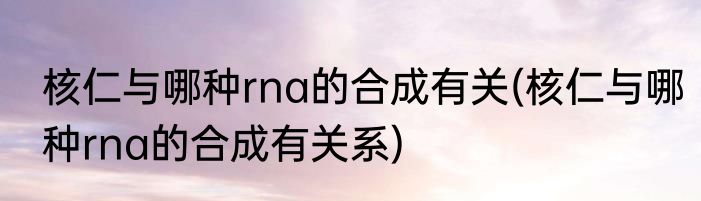 核仁与哪种rna的合成有关(核仁与哪种rna的合成有关系)