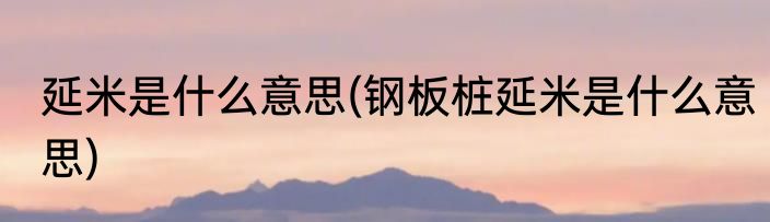 延米是什么意思(钢板桩延米是什么意思)