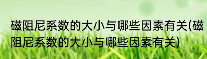 磁阻尼系数的大小与哪些因素有关(磁阻尼系数的大小与哪些因素有关)