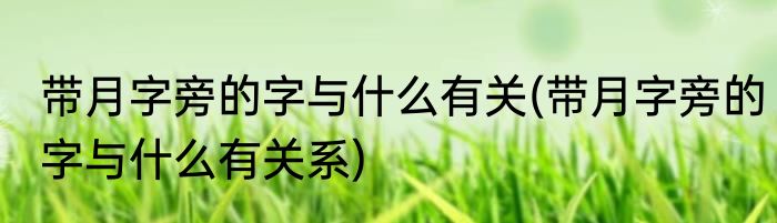 带月字旁的字与什么有关(带月字旁的字与什么有关系)
