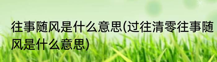 往事随风是什么意思(过往清零往事随风是什么意思)