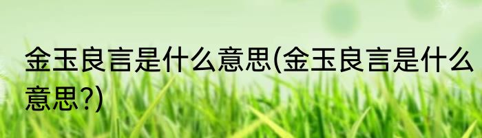 金玉良言是什么意思(金玉良言是什么意思?)