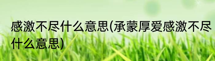 感激不尽什么意思(承蒙厚爱感激不尽什么意思)