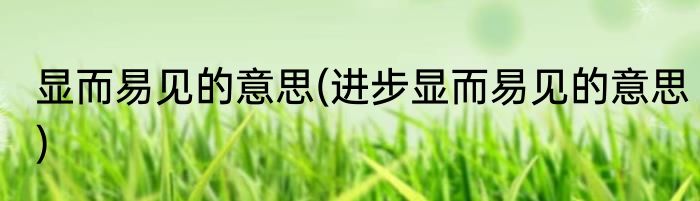 显而易见的意思(进步显而易见的意思)