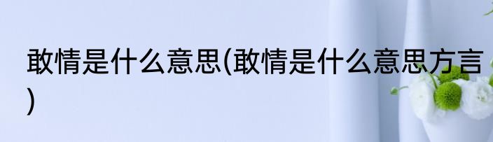 敢情是什么意思(敢情是什么意思方言)