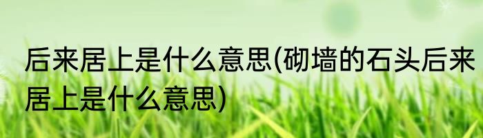 后来居上是什么意思(砌墙的石头后来居上是什么意思)