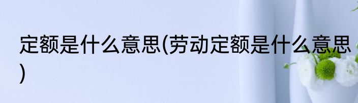 定额是什么意思(劳动定额是什么意思)