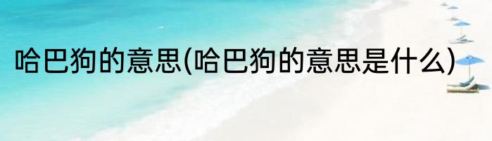 哈巴狗的意思(哈巴狗的意思是什么)