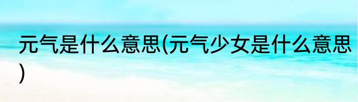 元气是什么意思(元气少女是什么意思)