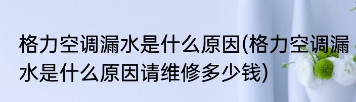格力空调漏水是什么原因(格力空调漏水是什么原因请维修多少钱)