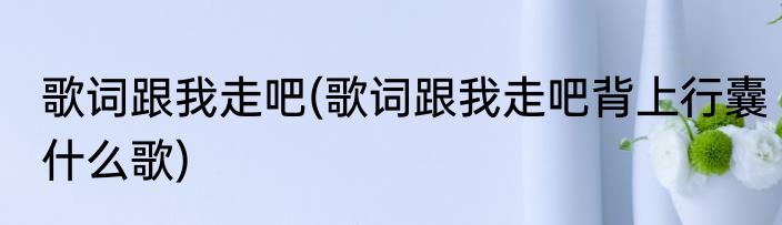 歌词跟我走吧(歌词跟我走吧背上行囊什么歌)