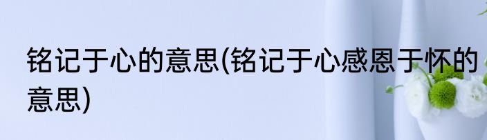 铭记于心的意思(铭记于心感恩于怀的意思)