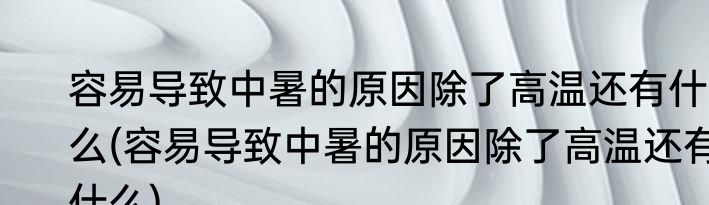 容易导致中暑的原因除了高温还有什么(容易导致中暑的原因除了高温还有什么)