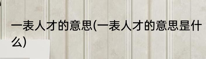 一表人才的意思(一表人才的意思昰什么)