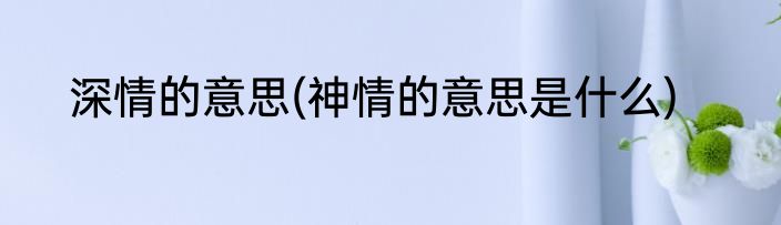 深情的意思(神情的意思是什么)