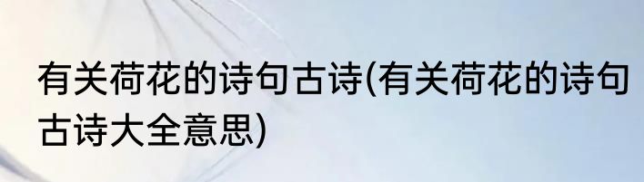 有关荷花的诗句古诗(有关荷花的诗句古诗大全意思)