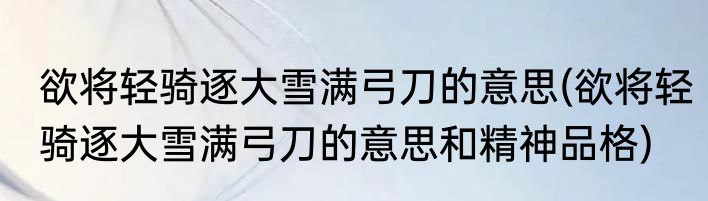 欲将轻骑逐大雪满弓刀的意思(欲将轻骑逐大雪满弓刀的意思和精神品格)