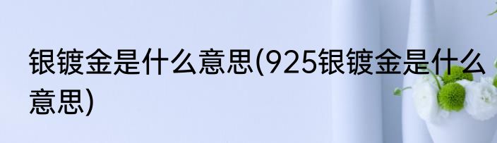 银镀金是什么意思(925银镀金是什么意思)