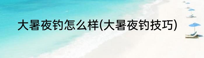 大暑夜钓怎么样(大暑夜钓技巧)