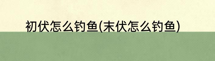 初伏怎么钓鱼(末伏怎么钓鱼)