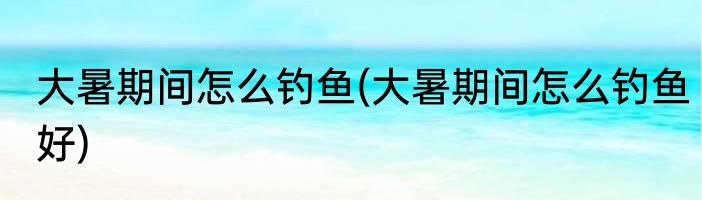 大暑期间怎么钓鱼(大暑期间怎么钓鱼好)