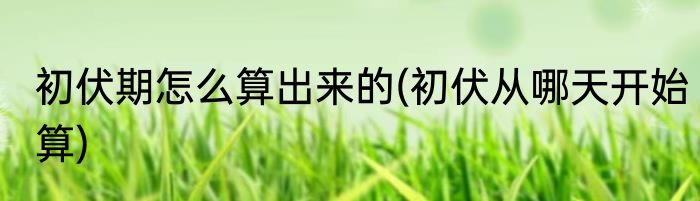 初伏期怎么算出来的(初伏从哪天开始算)